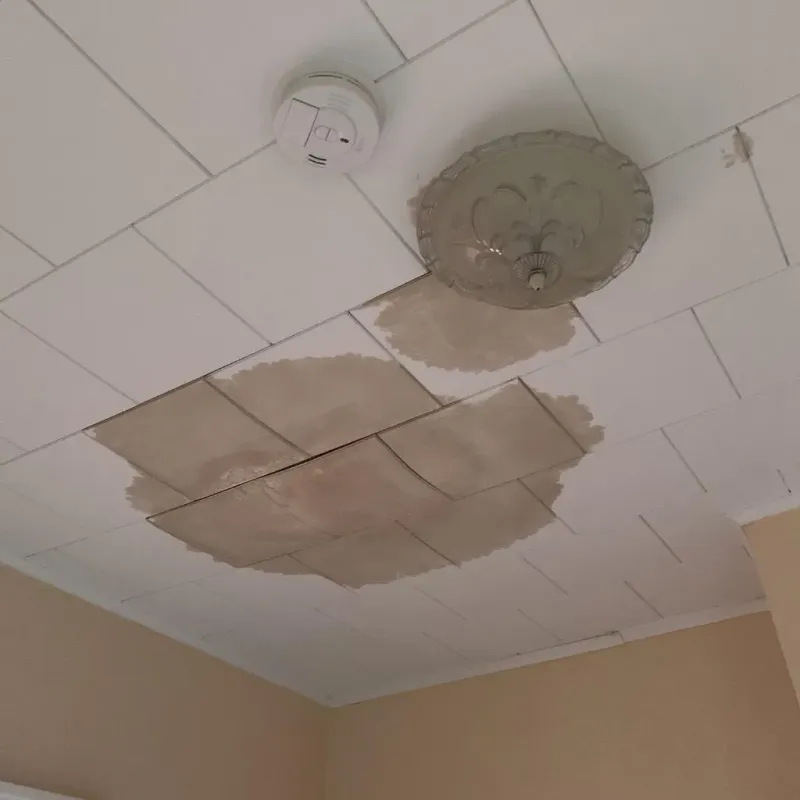 Ceiling Water Damage Repair in Carroll Valley, PA