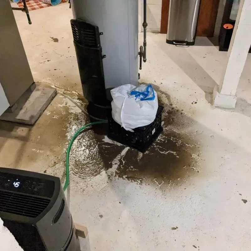 Sewage Backup Cleanup Service in Carroll Valley, PA